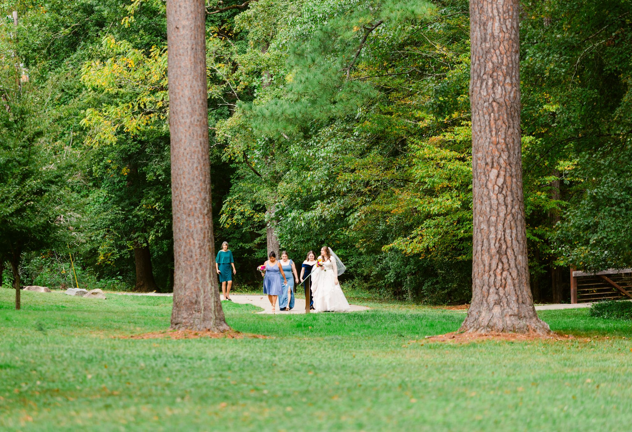 A scenic outdoor wedding ceremony takes place between tall pine trees on a grassy lawn.