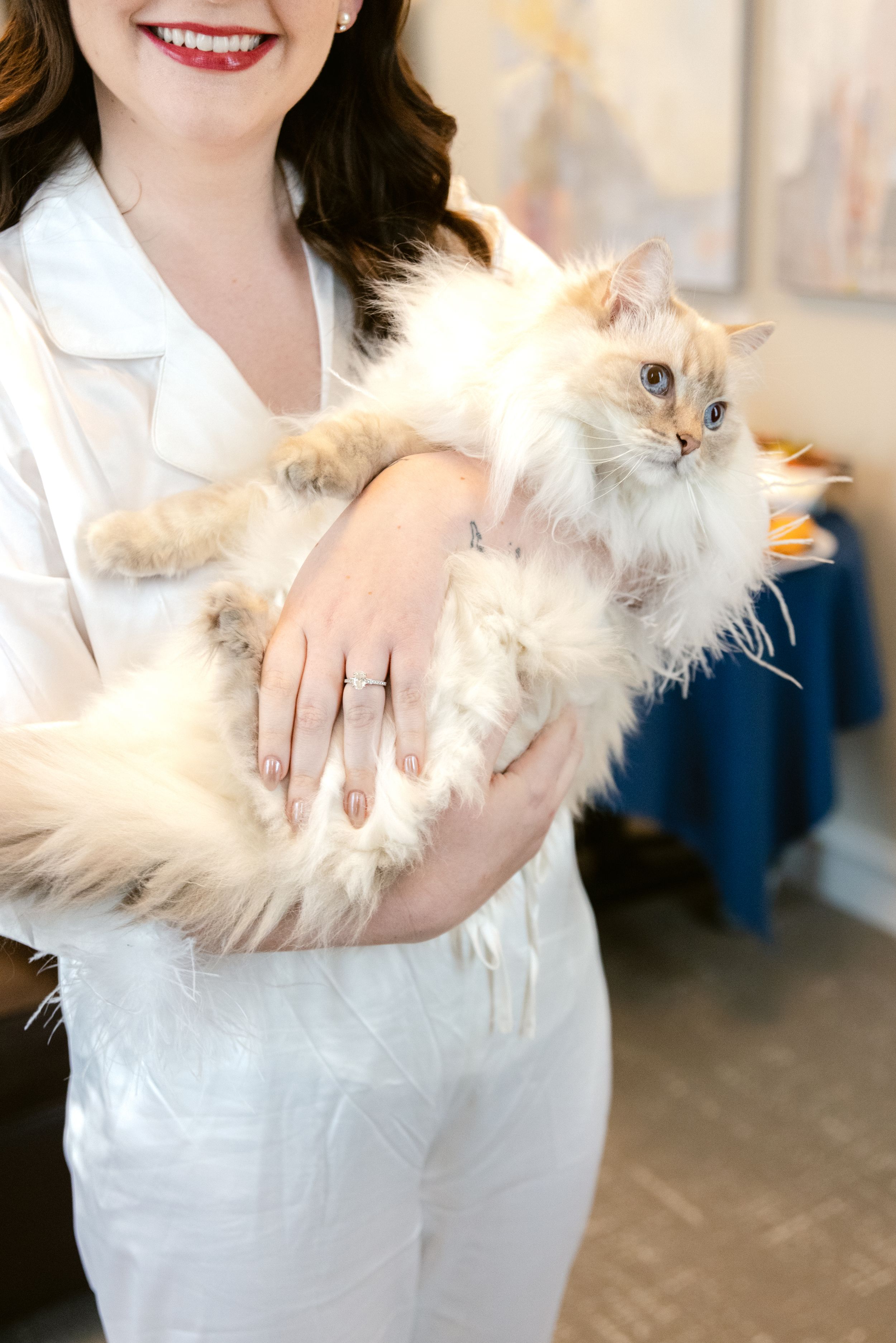 Woman in white dress holds fluffy white cat while showing off engagement ring in series of candid photos.