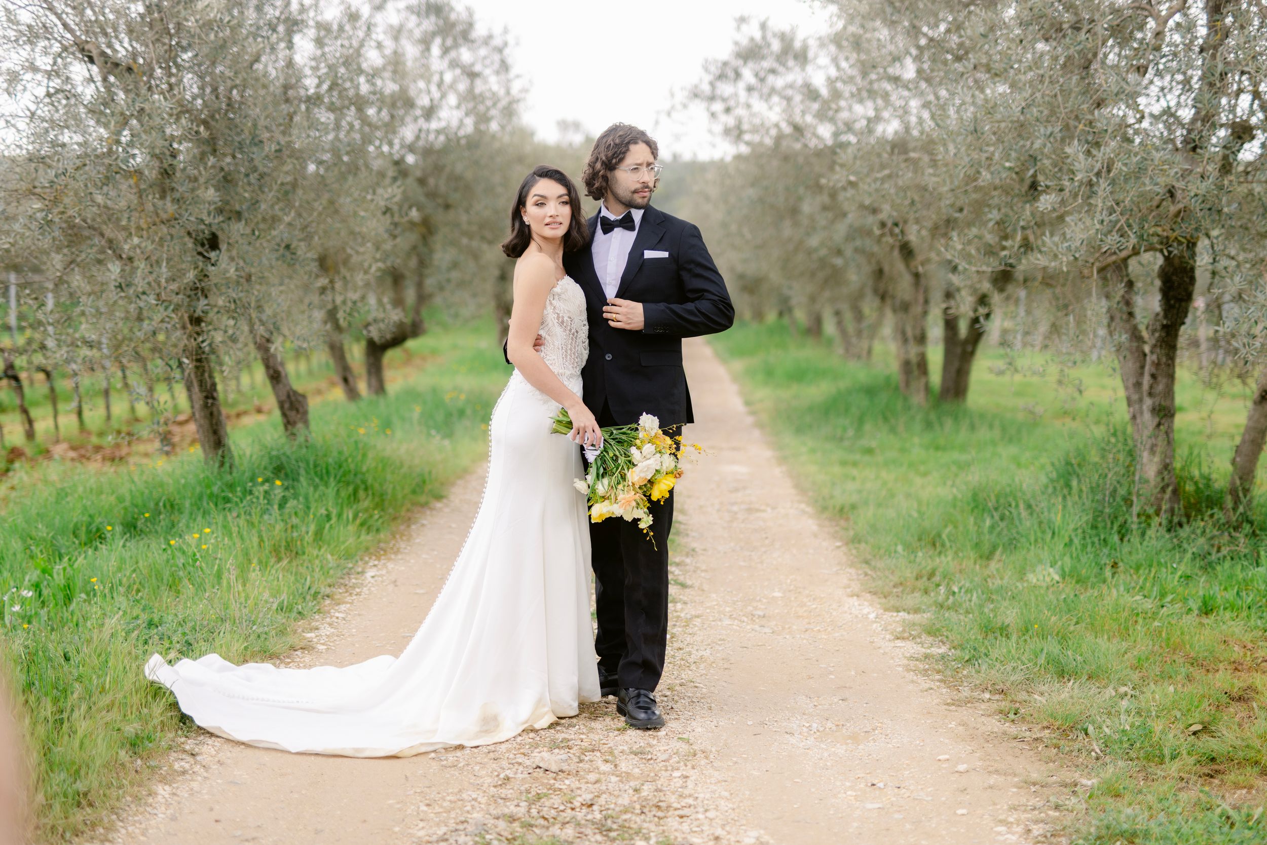 A collection of wedding photos capturing tender moments between a couple among olive trees in a rustic setting.