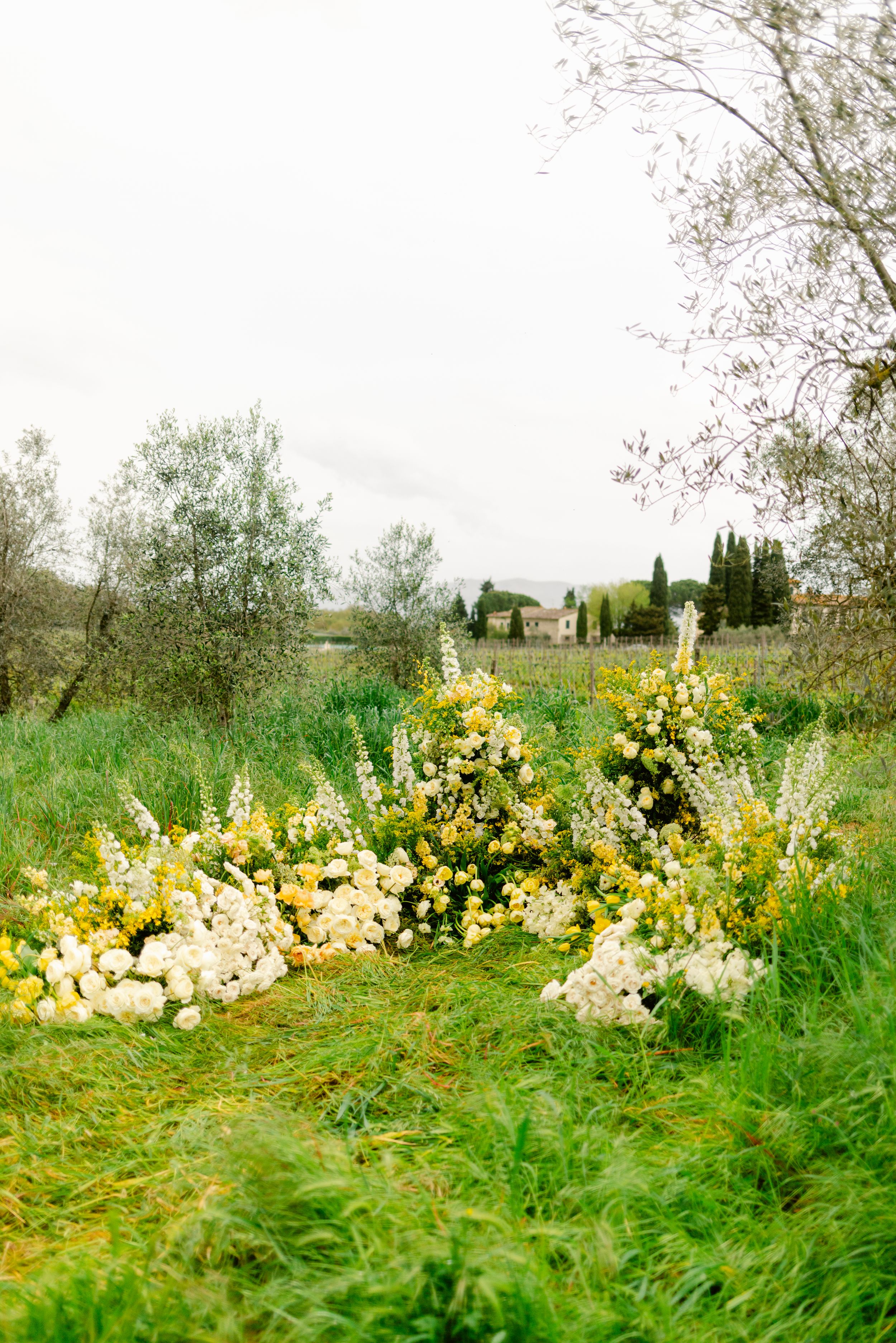 Yellow daffodils bloom in a lush green meadow on a spring day with trees visible in the background.