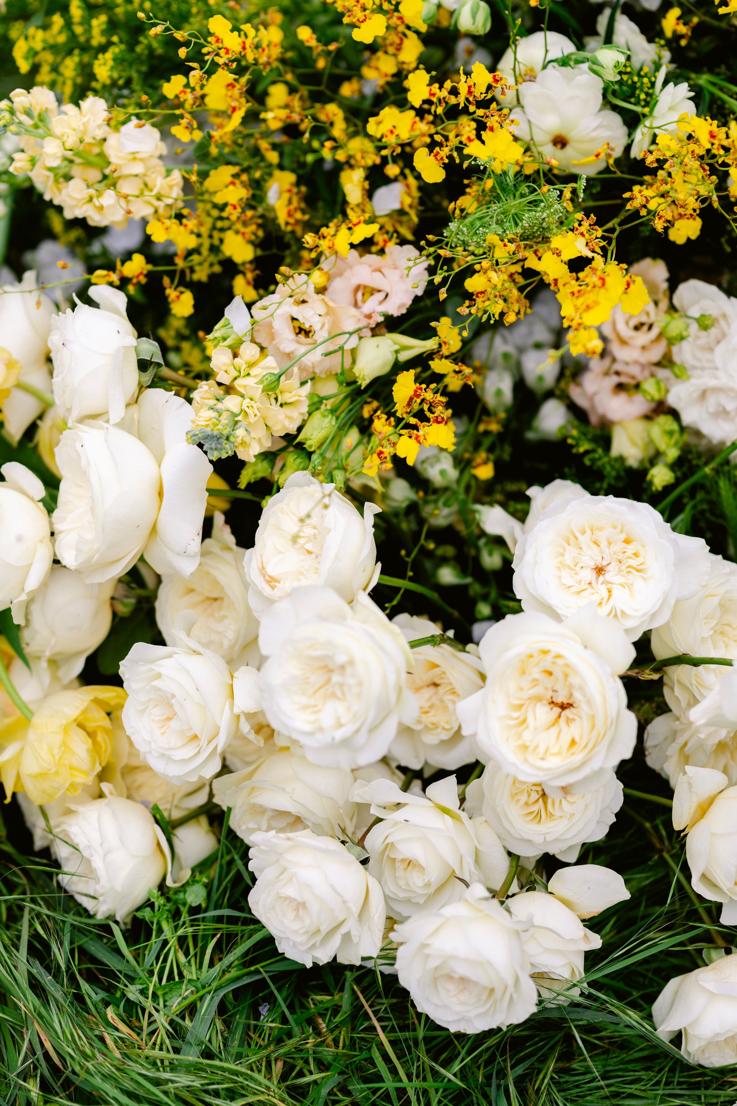 White garden roses bloom alongside vibrant yellow flowers in a lush garden setting.