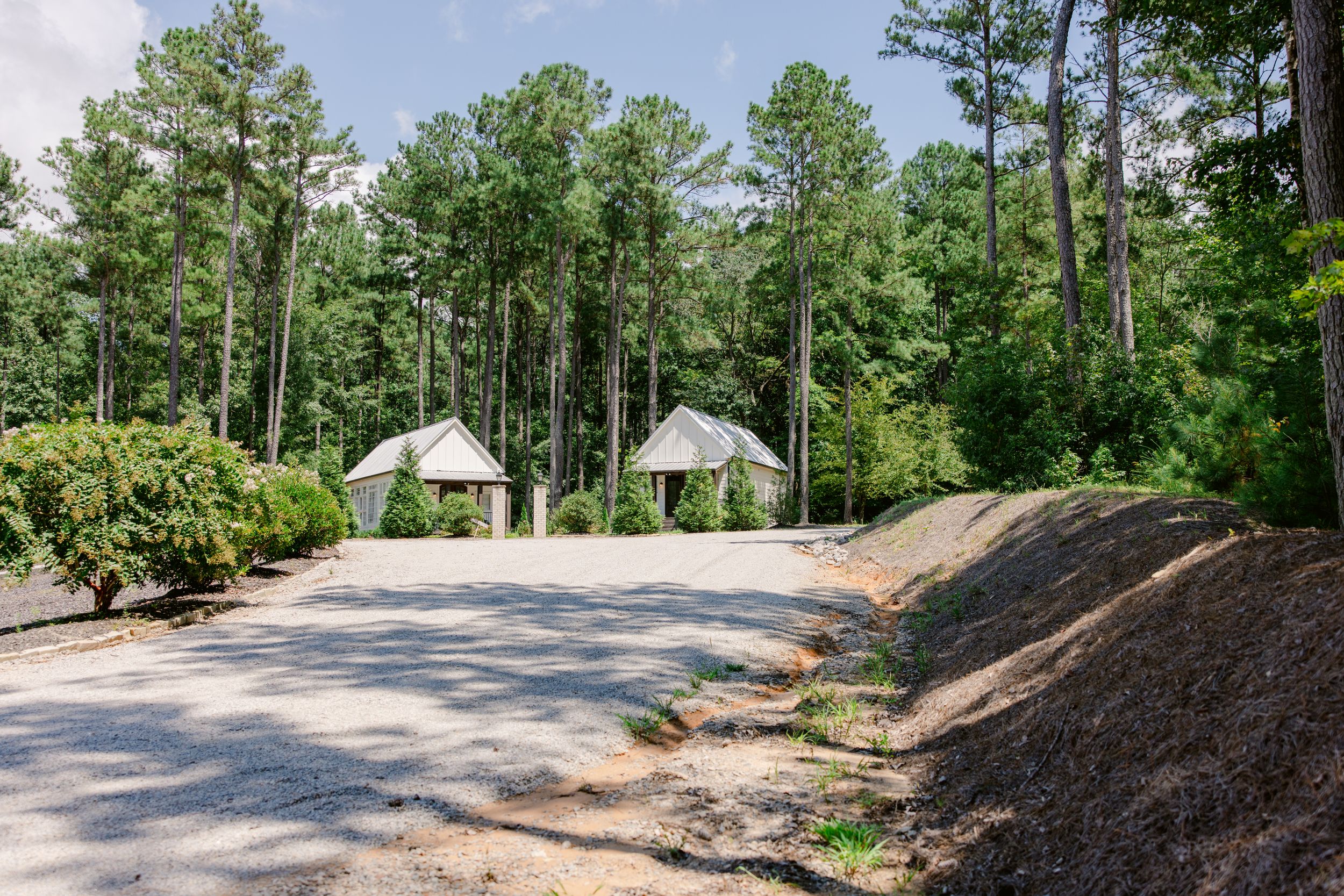 Scenic outdoor wedding venue with tall pine trees and natural pathways.