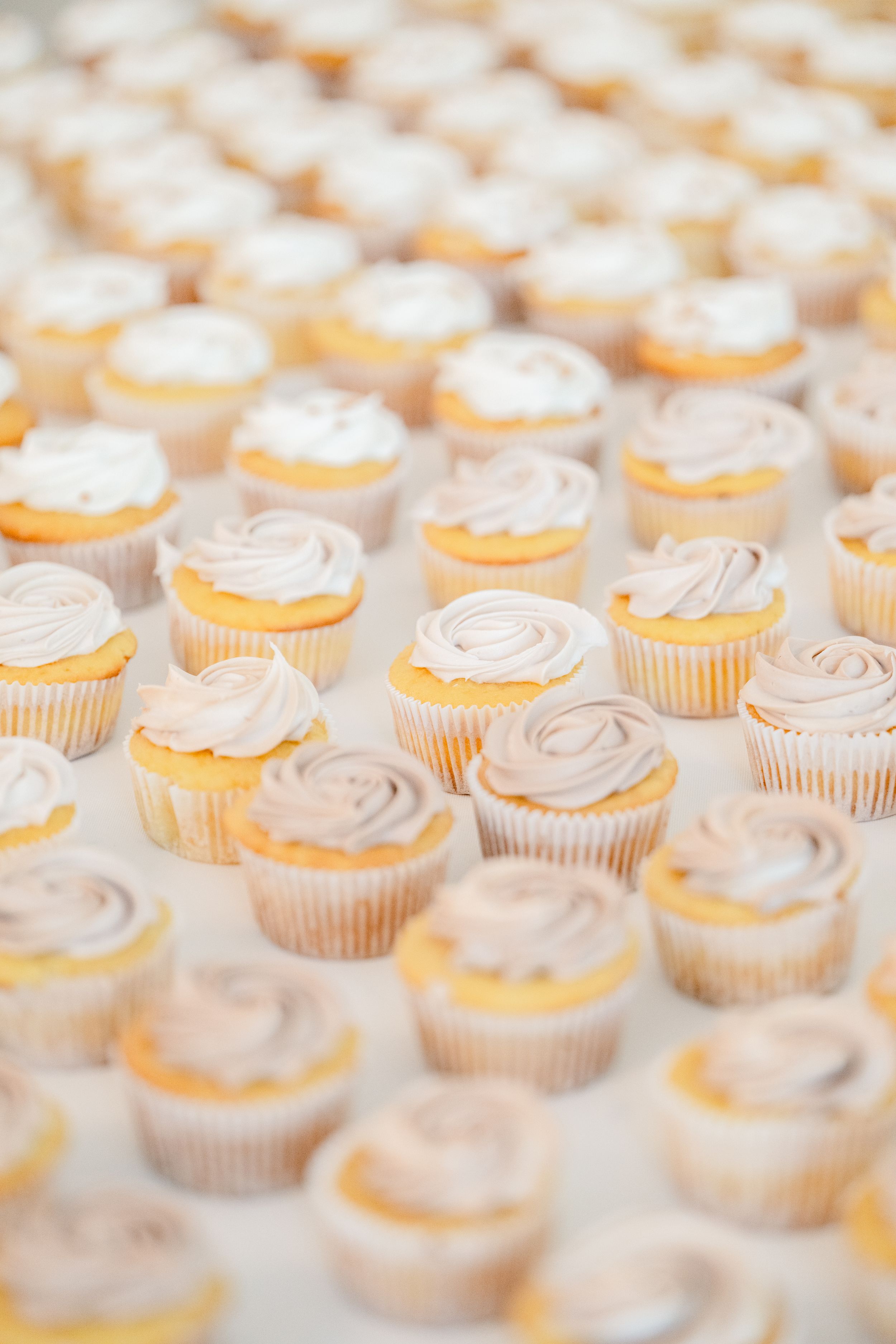 Rows of vanilla cupcakes with swirled white frosting arranged in a repeating pattern on a display.